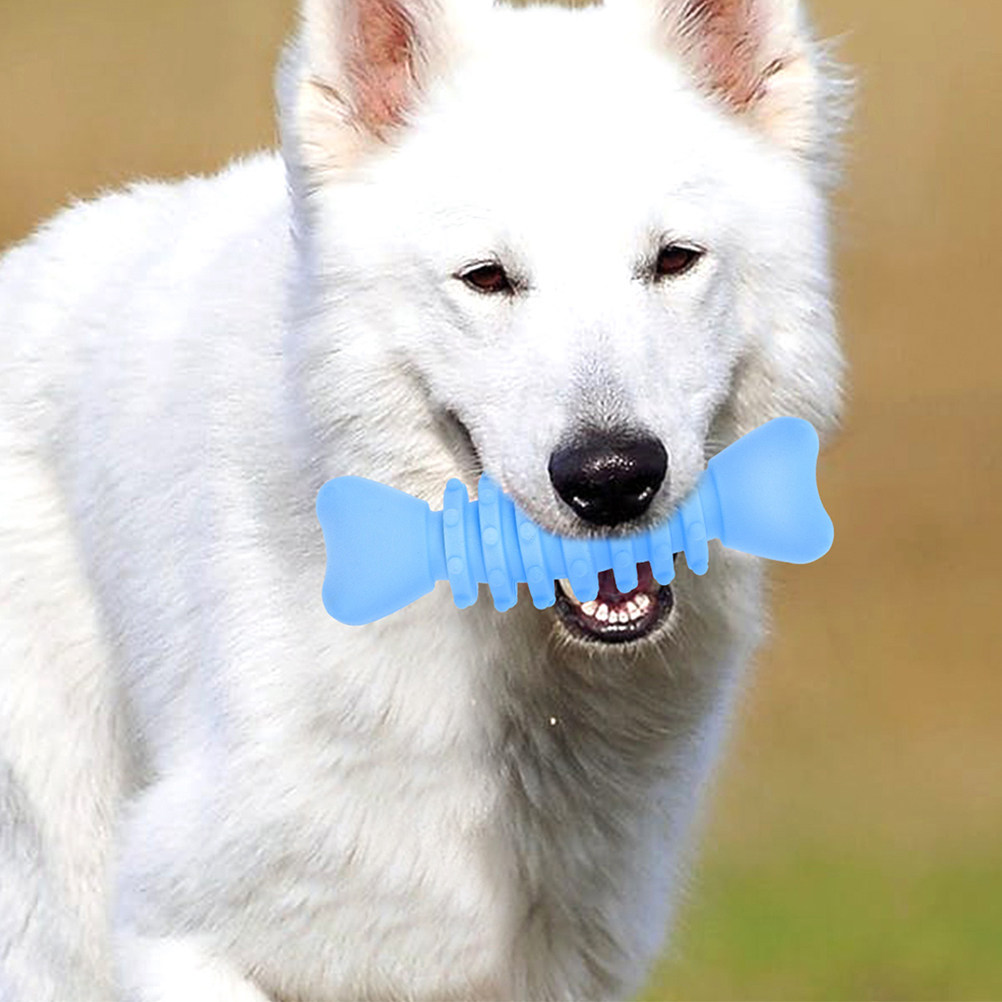 Teeth Cleaning Dog Chew Bone - 2Pcs Dog Molar Chewing Bone Safe
