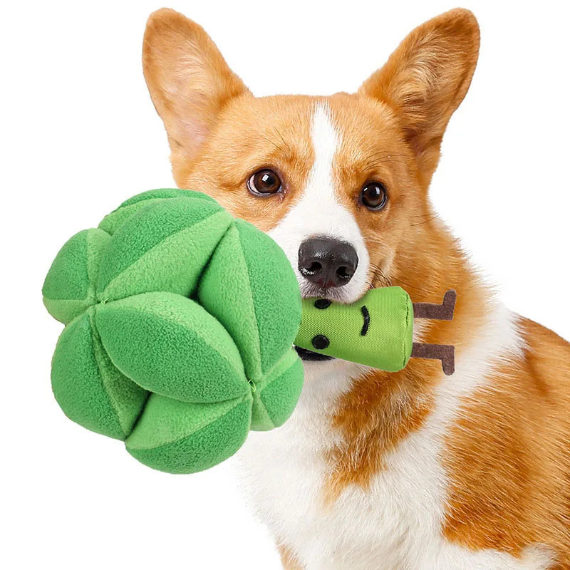 Dog Puzzle Feeder Toy - Snuffle Broccoli Dog Puzzle Toys Increase