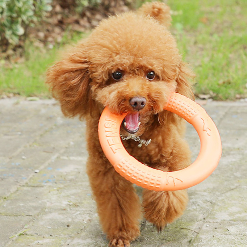 1pc Orange Dog Toys Pet Flying - огляд і ціна Flying Disc Dog Training Toy