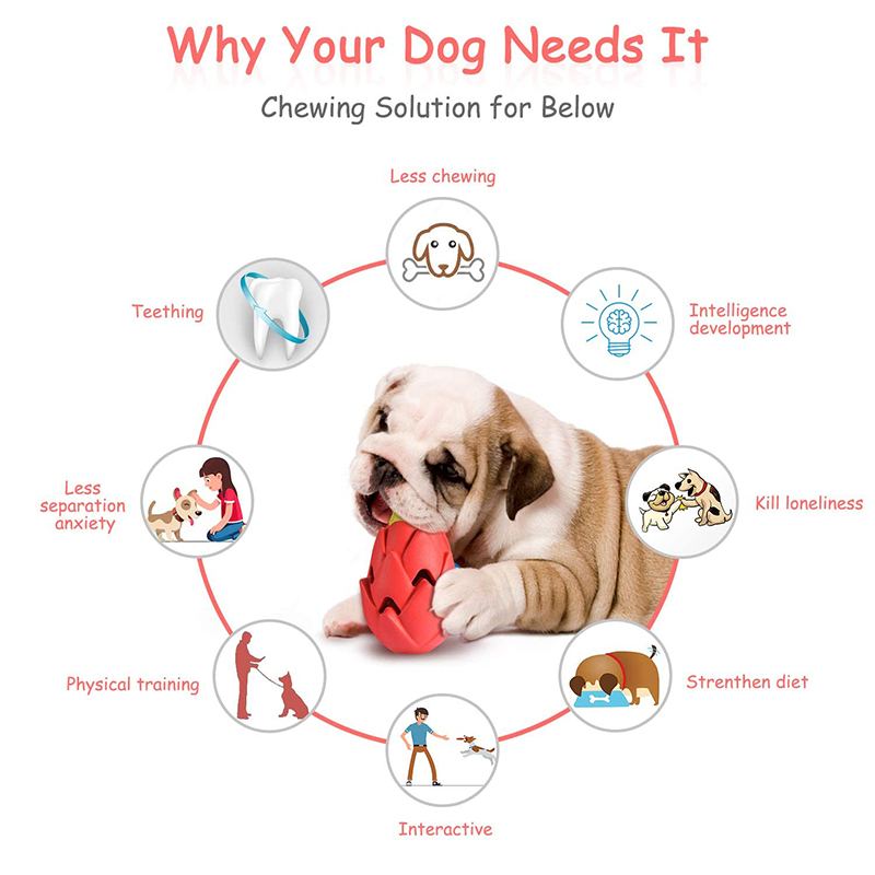 Benepaw Indestructible Pitaya  - огляд і ціна Indestructible Dog Chew Toy