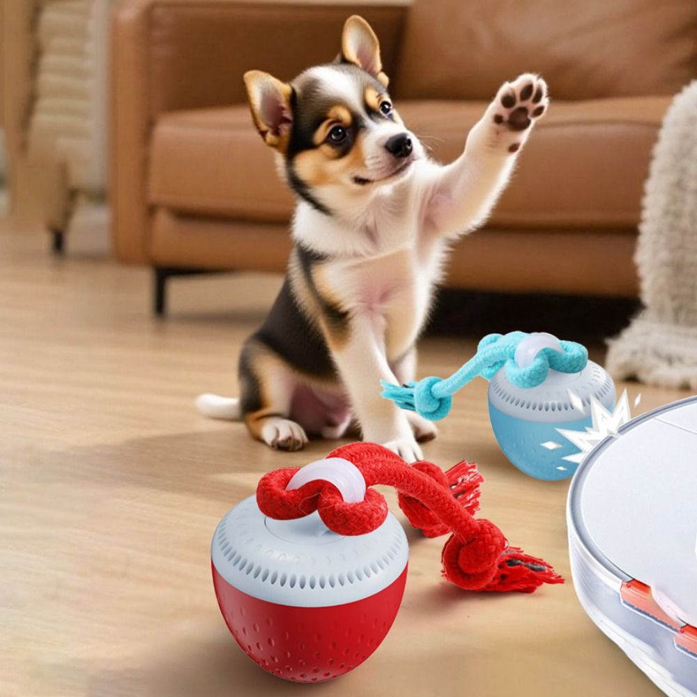 Bite Resistant Smart Pet Toy B - огляд і ціна Automatic Moving Dog Ball