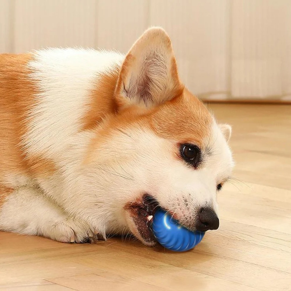 New 1pc Automatic Moving Dog T - огляд і ціна Automatic Moving Dog Ball
