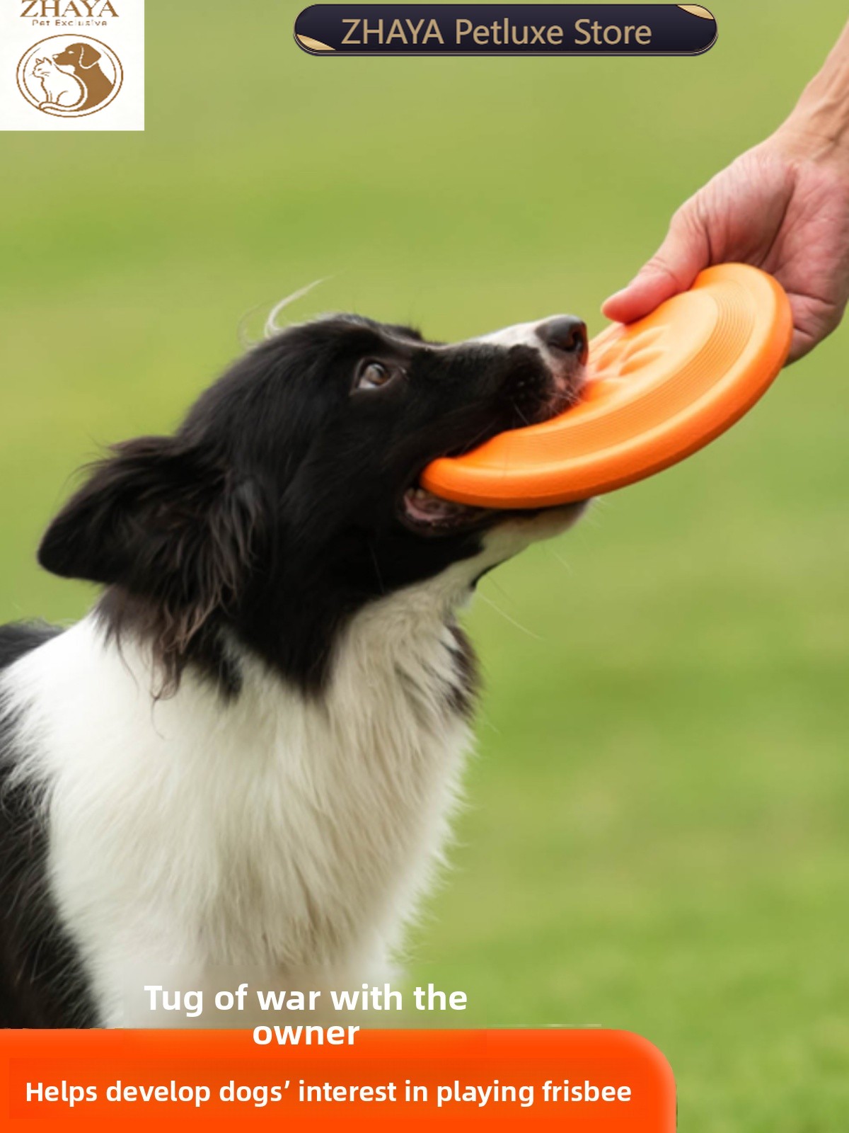 Dog Flying Disc Soft Durable B - огляд і ціна Flying Disc Dog Training Toy