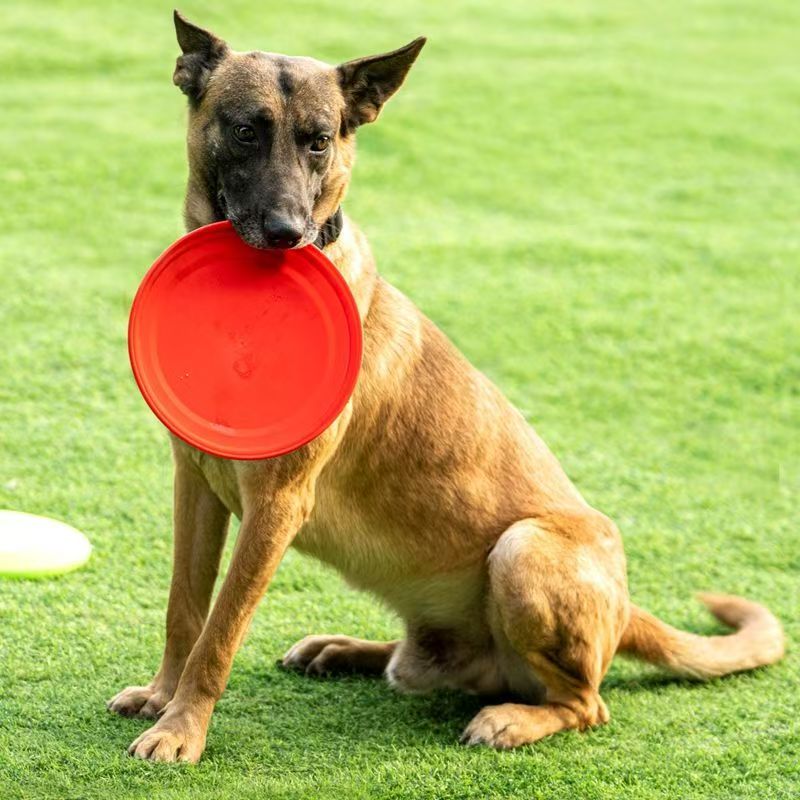 Hard Plastic Dog Frisbee  Paw  - огляд і ціна Flying Disc Dog Training Toy