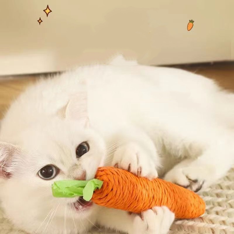 Fun Cat Teething Stick Sound C - огляд і ціна Snuffle Mat For Dogs