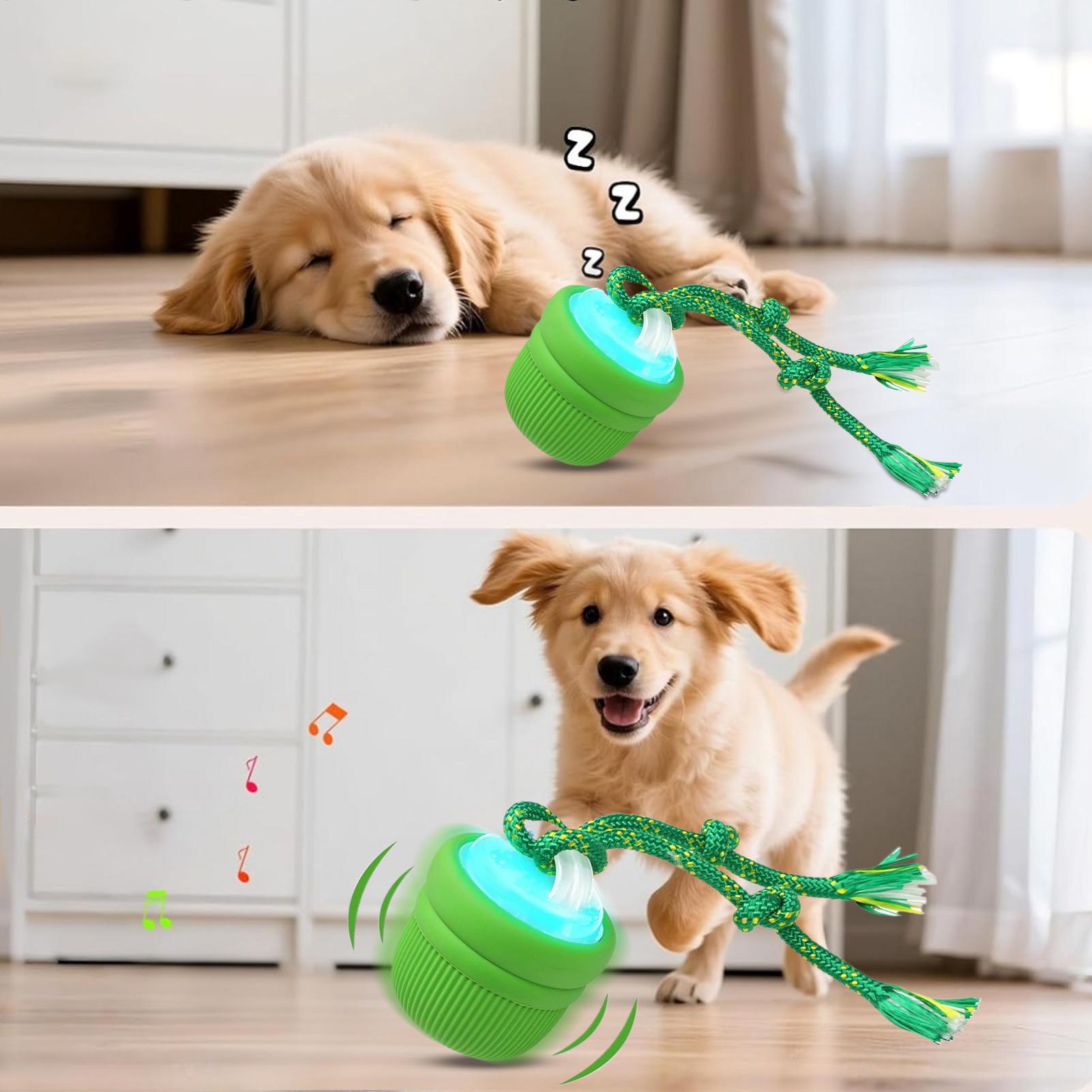 Interactive Dog Ball Automatic - огляд і ціна Automatic Moving Dog Ball