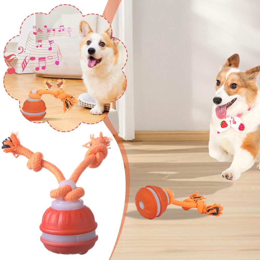 Smart Rechargeable Dog Ball In - огляд і ціна Automatic Moving Dog Ball