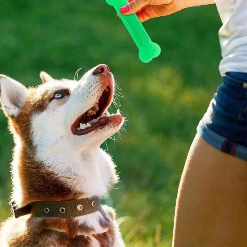 Super Tough Dog Bone Chew Toy  - огляд і ціна Teeth Cleaning Dog Chew Bone