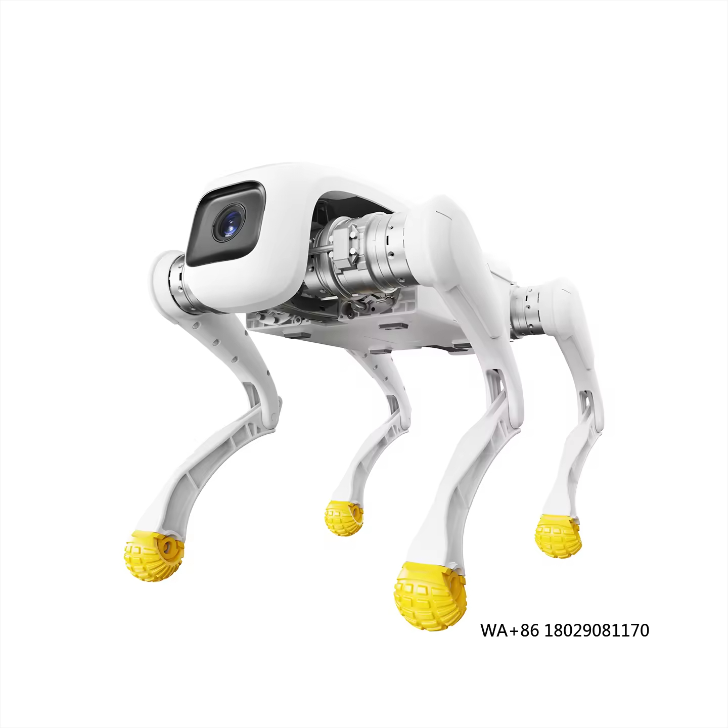 Design Dog Robot AI Electronic - огляд і ціна Dog Toys