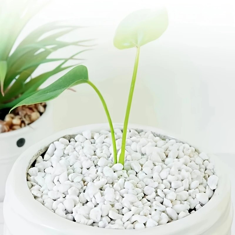 1L high-quality perlite succul - огляд і ціна Pet Beds