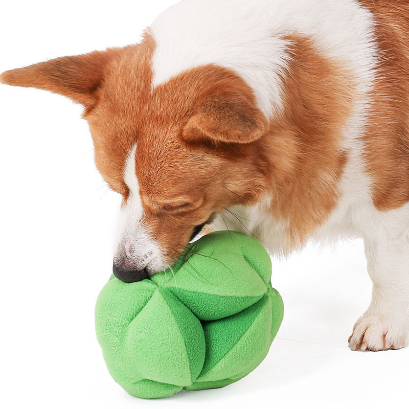 Snuffle Broccoli Dog Puzzle To - огляд і ціна Dog Puzzle Feeder Toy