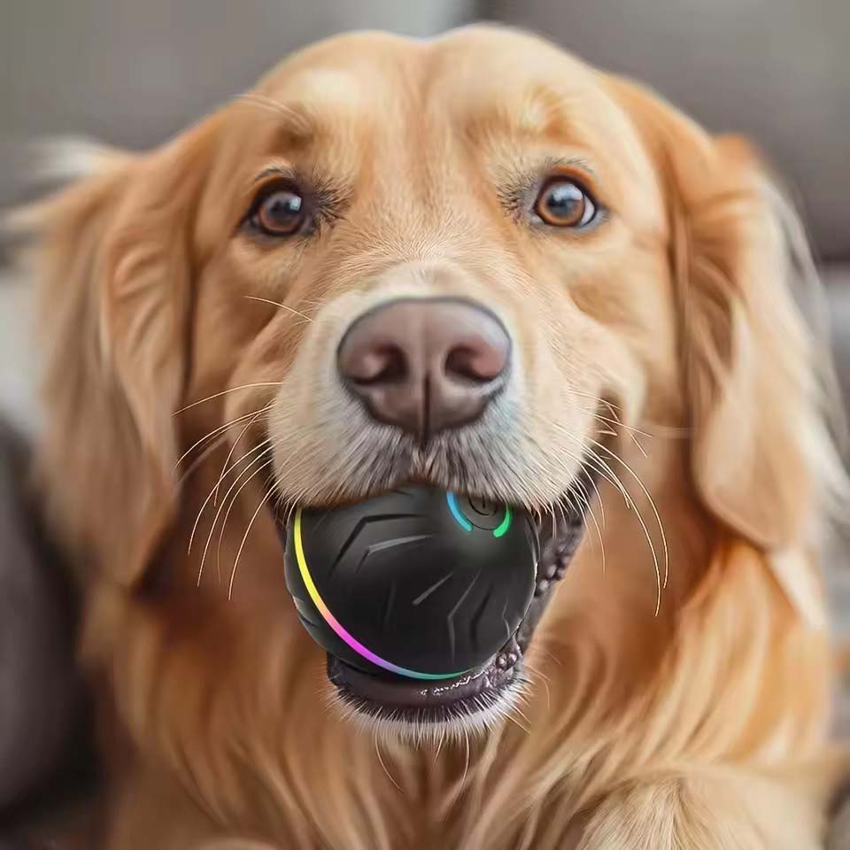 Interactive Smart Dogs Toys Ba - огляд і ціна Automatic Moving Dog Ball