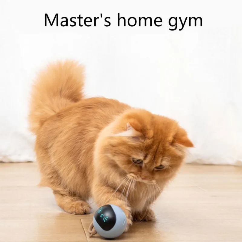 Interactive Cat Ball Toy USB R - огляд і ціна Automatic Moving Dog Ball