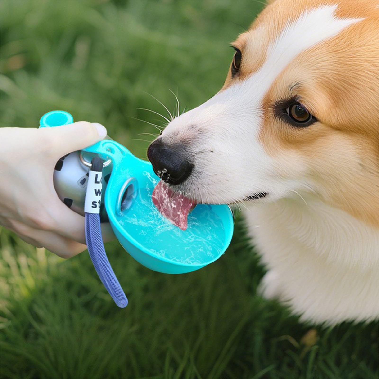 ACG Goods Portable Silicone Pe - огляд і ціна Pet Feeders