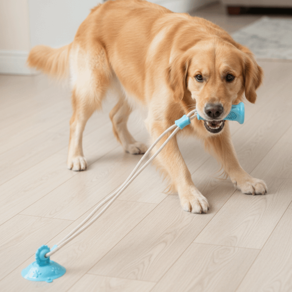 Bite-Resistant Dog Suction Cup - огляд і ціна Suction Cup Dog Tug Toy