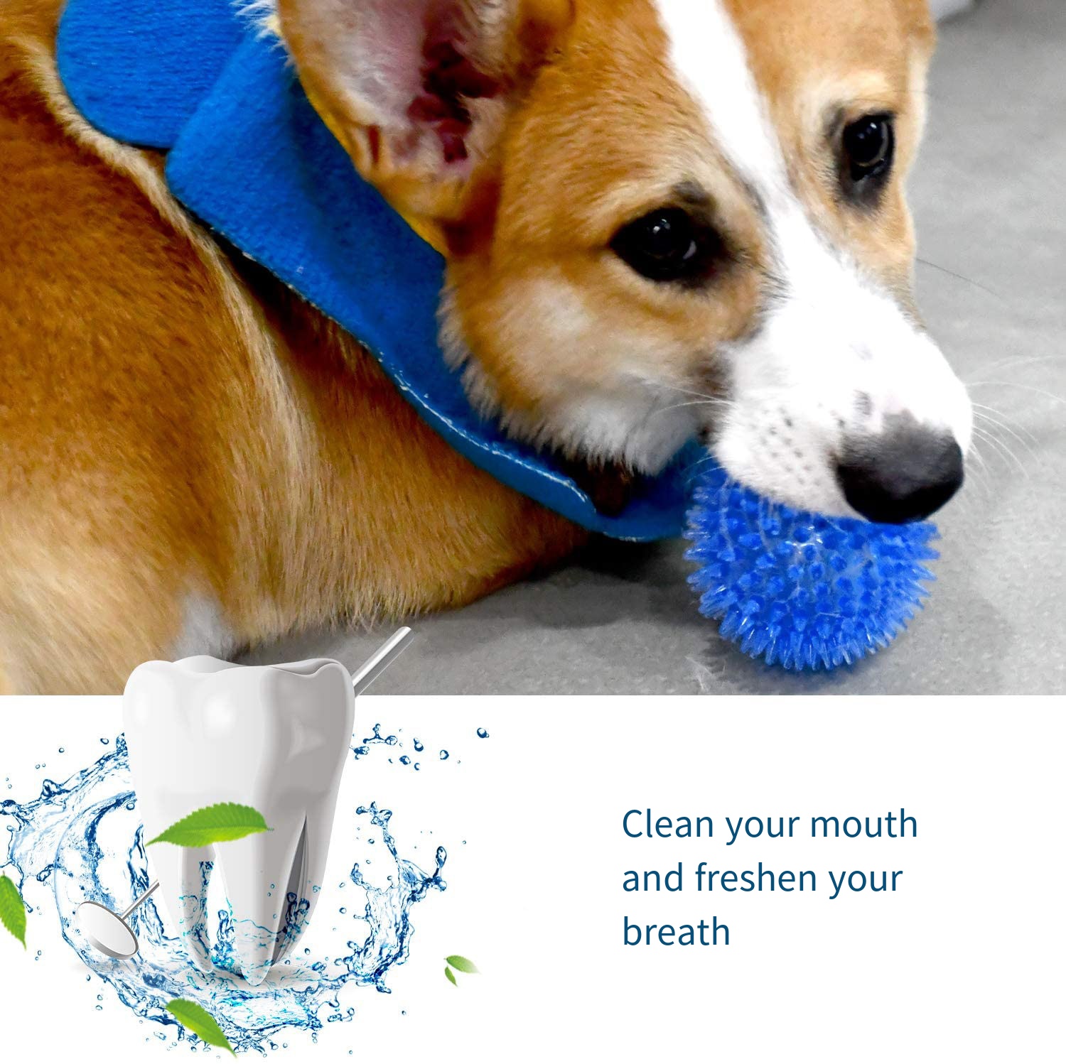Dog Toys Sound Toy Bouncy Ball - огляд і ціна Suction Cup Dog Tug Toy