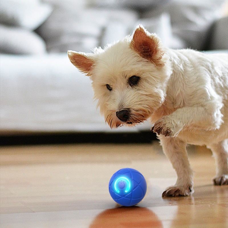 Smart Dog Toy Ball USB Automat - огляд і ціна Suction Cup Dog Tug Toy