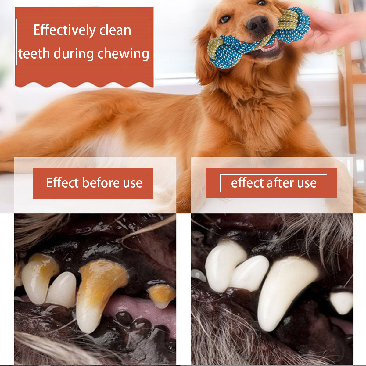 New 7PCS Pet Dog Puppy Double  - огляд і ціна Teeth Cleaning Dog Chew Bone