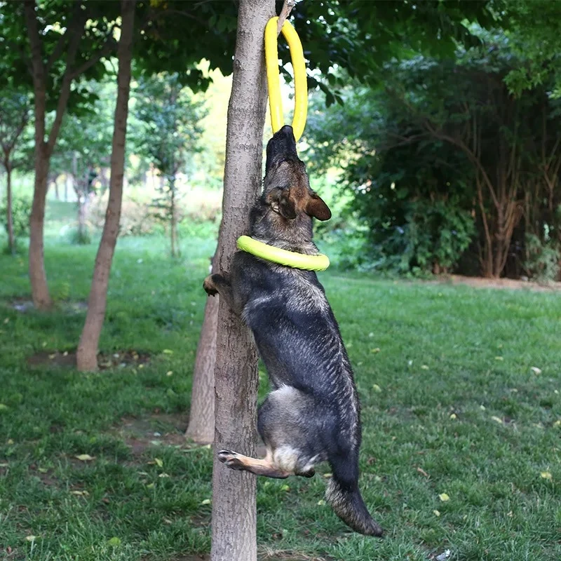 Dog Toys Pet Flying Discs EVA  - огляд і ціна Flying Disc Dog Training Toy