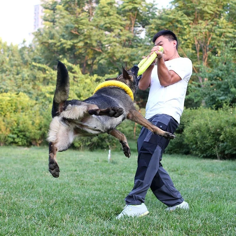 Dog Toys Pet Flying Discs EVA  - огляд і ціна Flying Disc Dog Training Toy