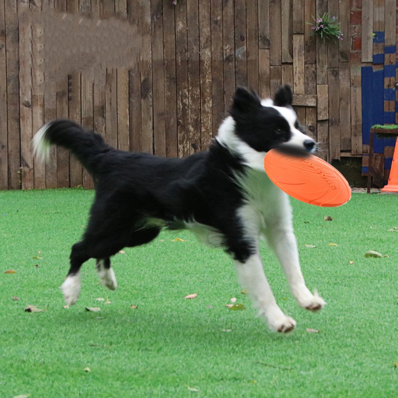 Interactive Silicone Flying Sa - огляд і ціна Flying Disc Dog Training Toy