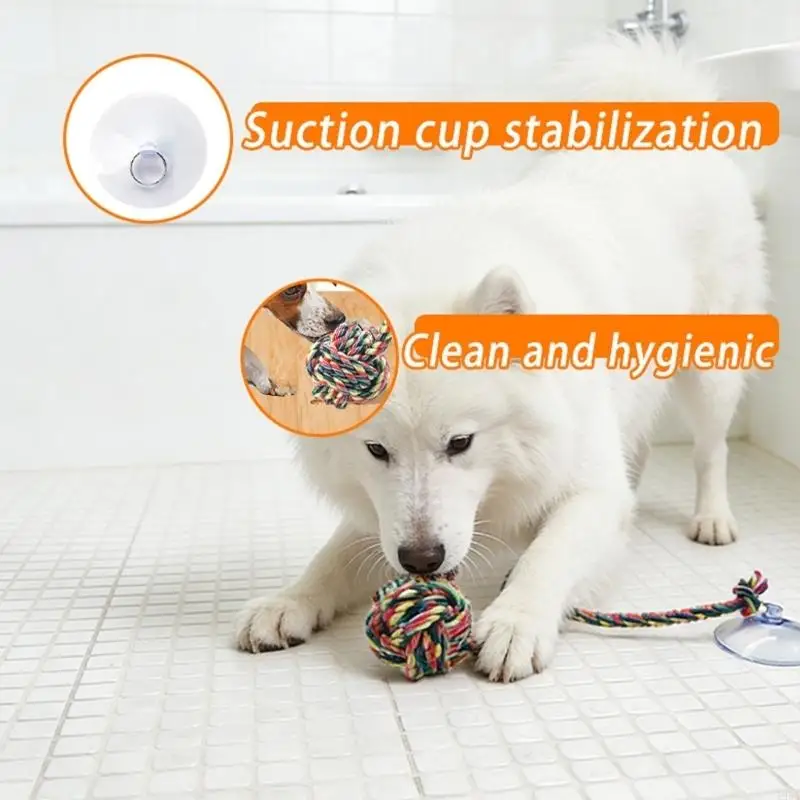 Interactive Dog Chewing Toy Tu - огляд і ціна Suction Cup Dog Tug Toy
