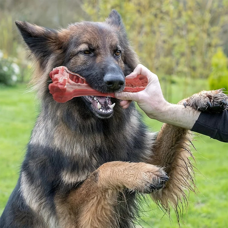 Super Tough Indestructible Dog - огляд і ціна Teeth Cleaning Dog Chew Bone