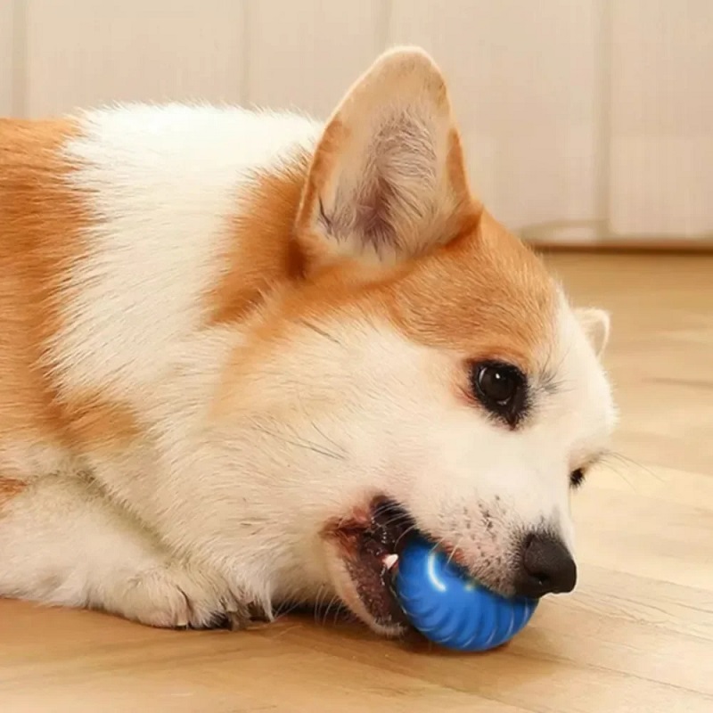 Automatic Moving Dog Toy Ball  - огляд і ціна Automatic Moving Dog Ball