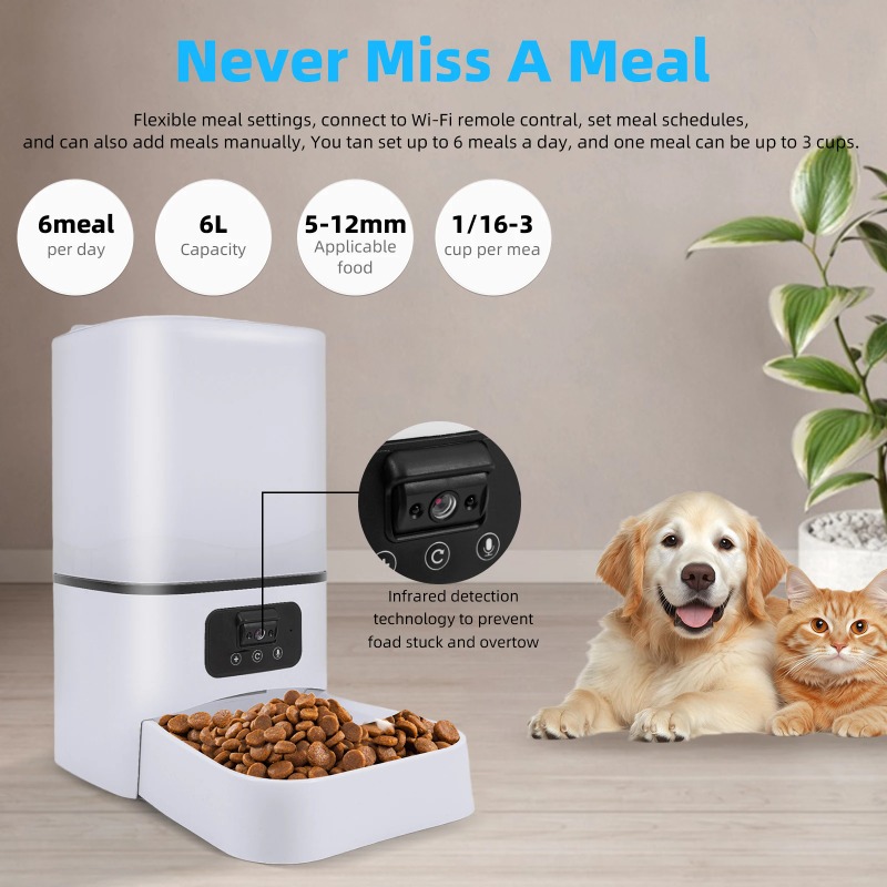【2026】6L Intelligent Automatic - огляд і ціна Pet Feeders