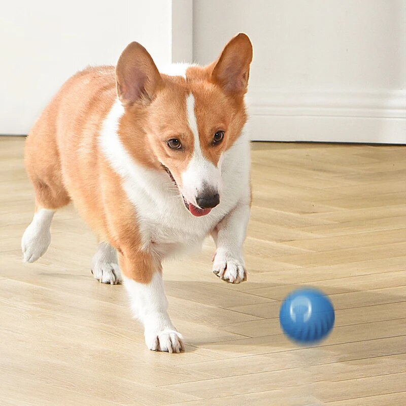 Dog Toys Intelligent Gravity J - огляд і ціна Suction Cup Dog Tug Toy