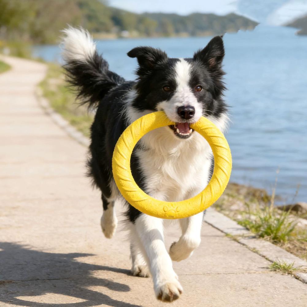 Dog Ring Toys Indestructible C - огляд і ціна Suction Cup Dog Tug Toy
