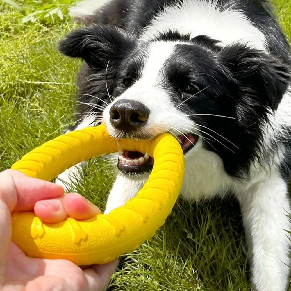 Dog Ring Toys Indestructible C - огляд і ціна Suction Cup Dog Tug Toy