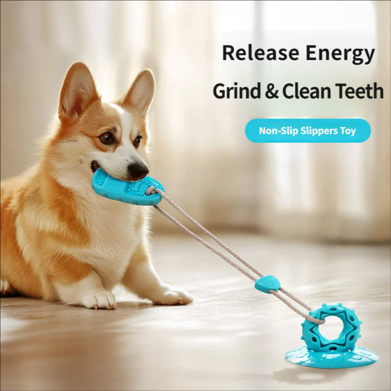 Suction Cup Dog Tug Toy Intera - огляд і ціна Suction Cup Dog Tug Toy