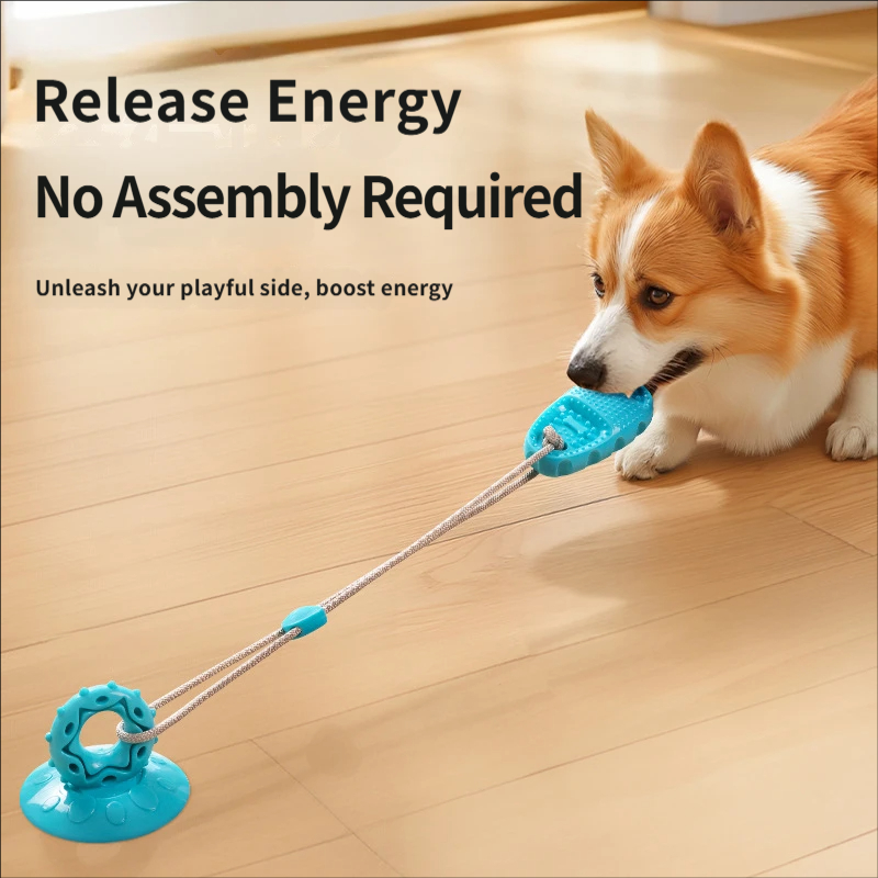 Suction Cup Dog Tug Toy Intera - огляд і ціна Suction Cup Dog Tug Toy