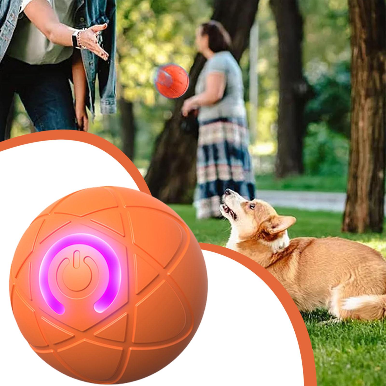 Dog Toy Ball Interactive Rolli - огляд і ціна Automatic Moving Dog Ball
