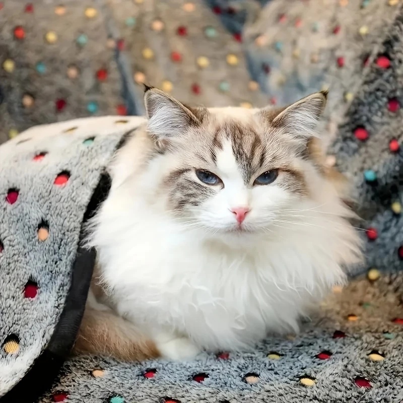 3PCS Soft Fluffy Pet Blanket C - огляд і ціна Pet Beds