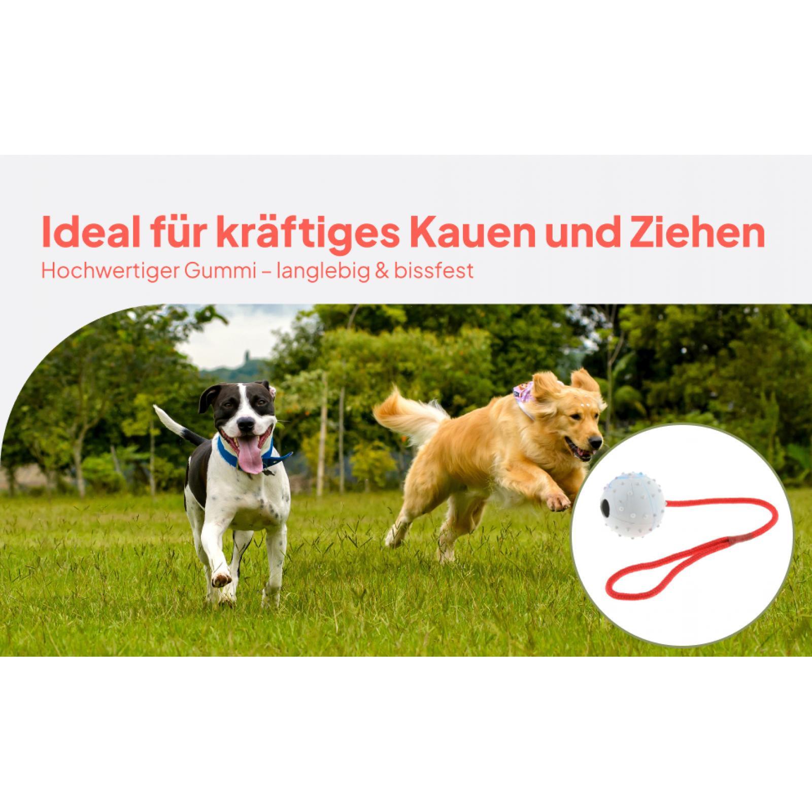 Pet Training Toy Soft Rubber C - огляд і ціна Rubber Treat Dispensing Dog Toy